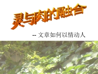 写作指导：文章如何以情动人 (2)