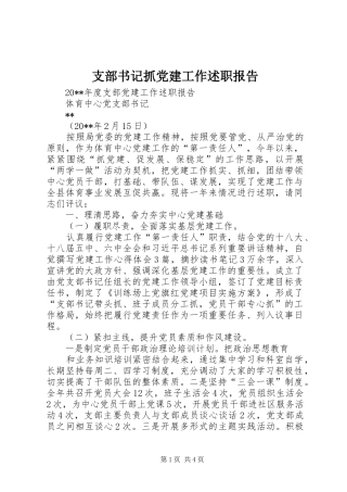 支部书记抓党建工作述职报告