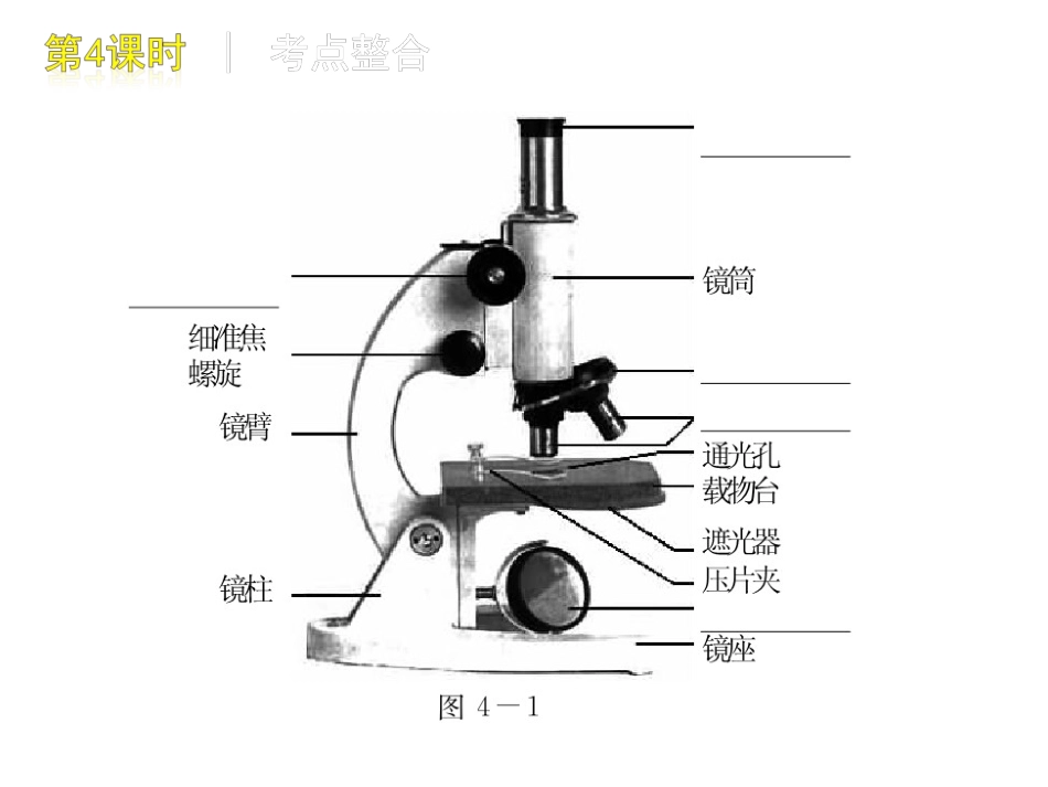 显微镜与显微镜的使用_第3页