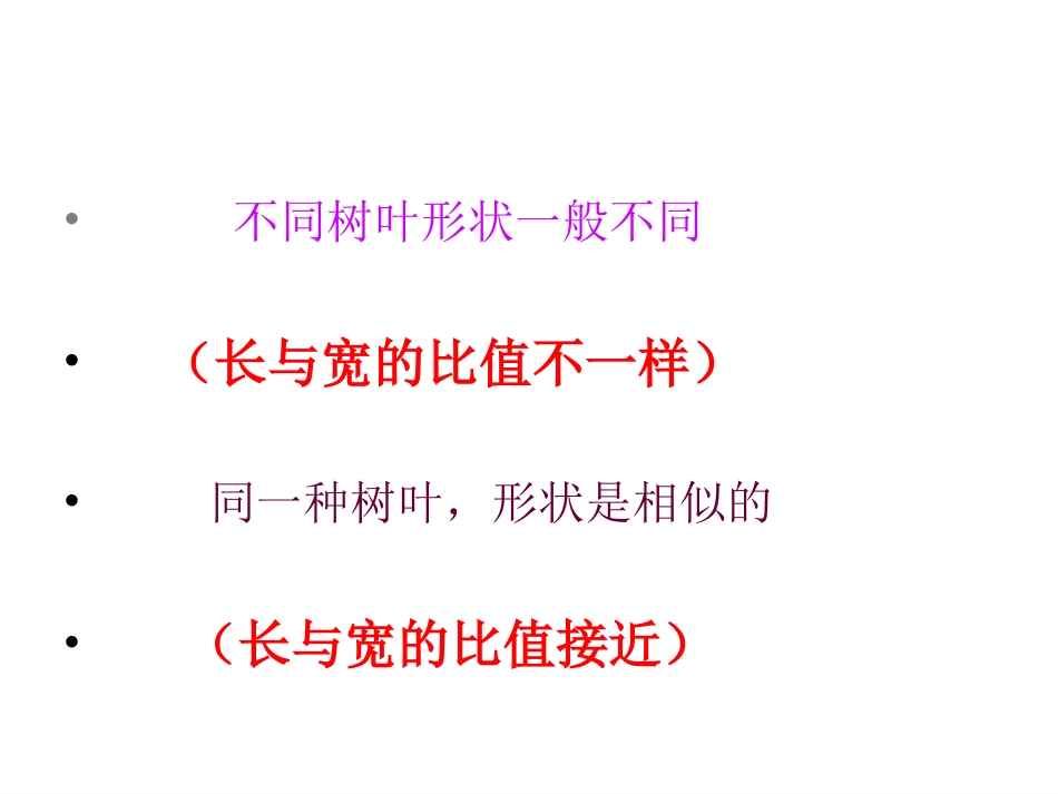 六上树叶中的比课件_第3页