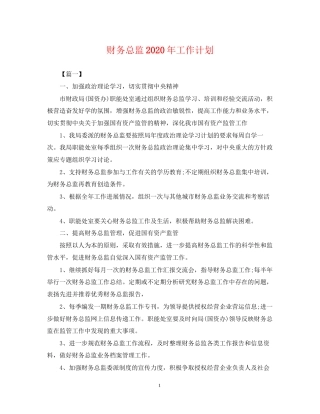 财务总监年工作计划2