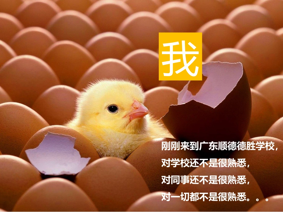 我的成长新教师培训_第3页