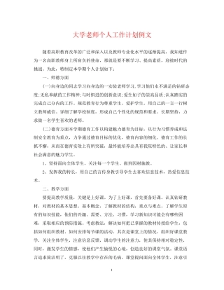 大学老师个人工作计划例文