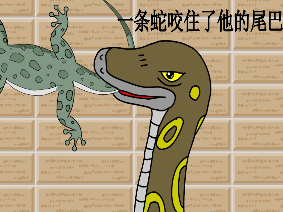 小壁虎借尾巴（公开课课件）_第3页
