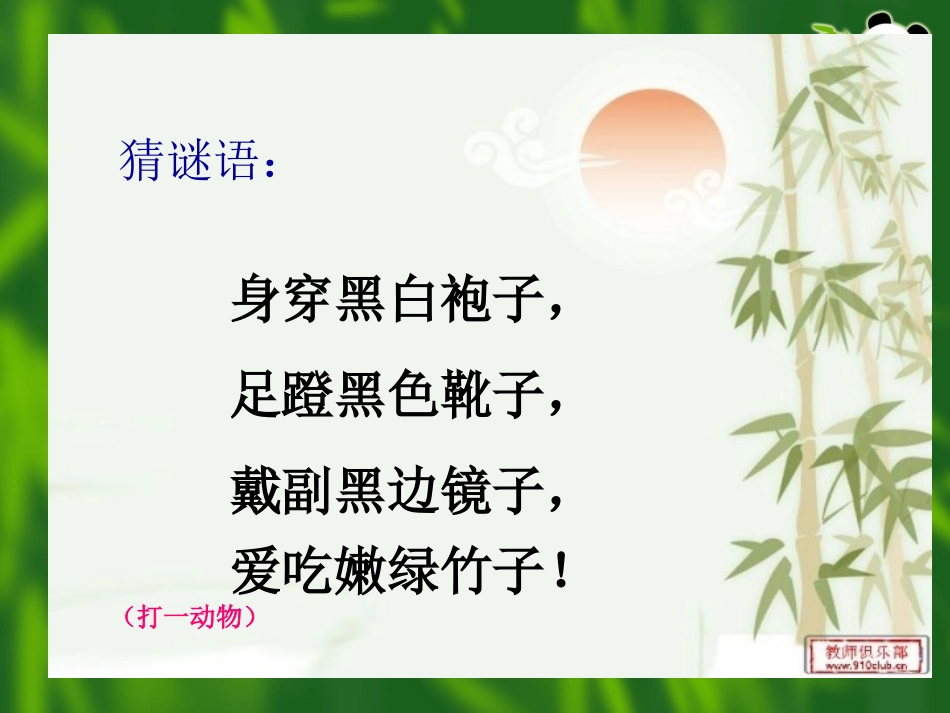 王玢（大熊猫）2_第2页