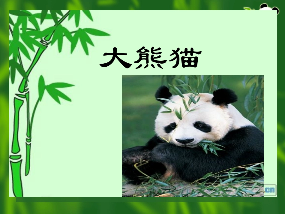 王玢（大熊猫）2_第3页
