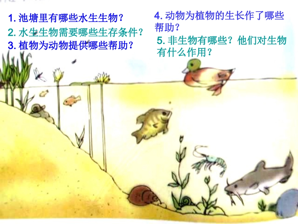 教科版科学五上做一个生态瓶_第3页