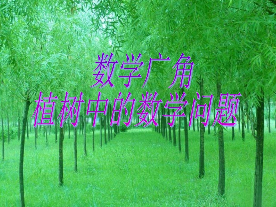 数学广角植树问题_第1页