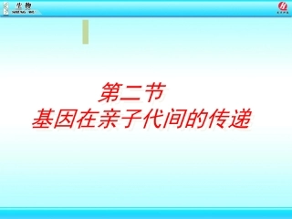 基因在亲子代间的传递yingying