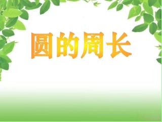 人教版圆的周长 (3)