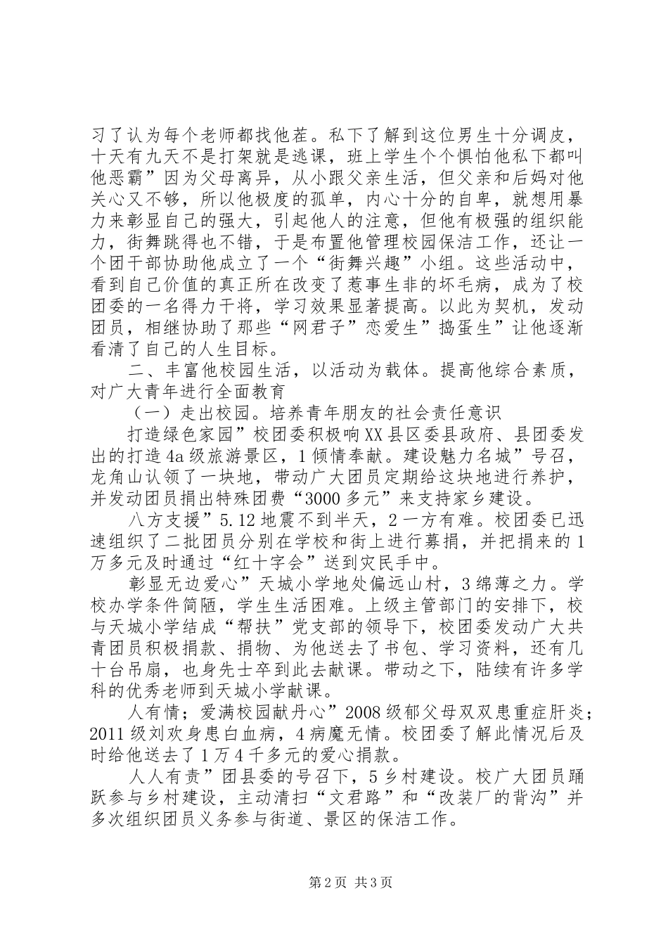 学校团委书记述职小结_第2页