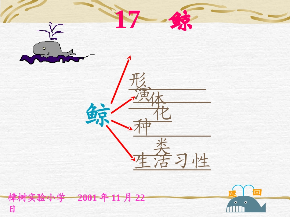 人教版小学语文五年级上册《鲸》PPT课件 (2)_第2页