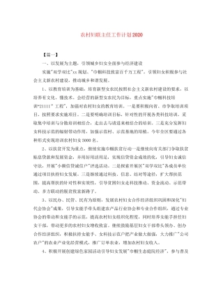 农村妇联主任工作计划2