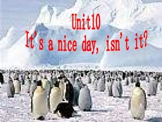 八年级英语It’saniceday，isn’tit课件1