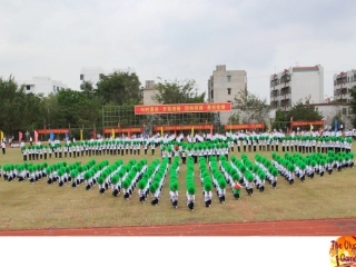 新课标高一英语必修二课件Unit2_The_Olympic_writing