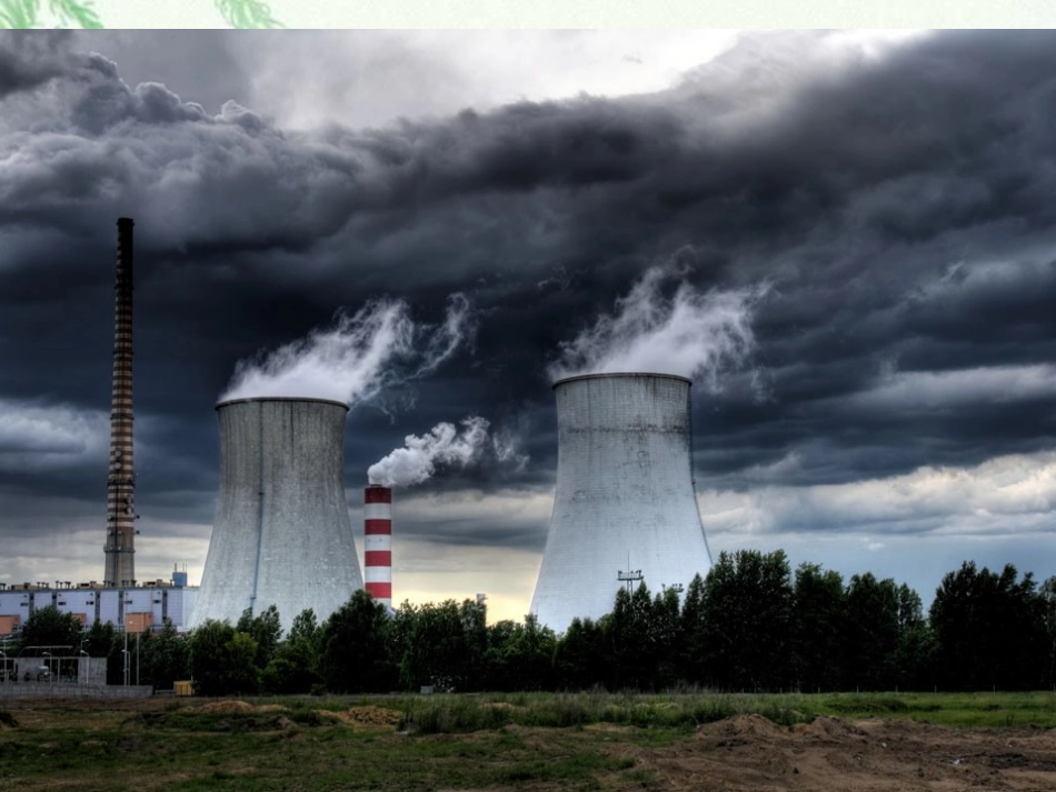 小学语文《我真希望》课件_第3页