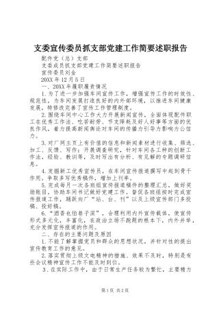支委宣传委员抓支部党建工作简要述职报告