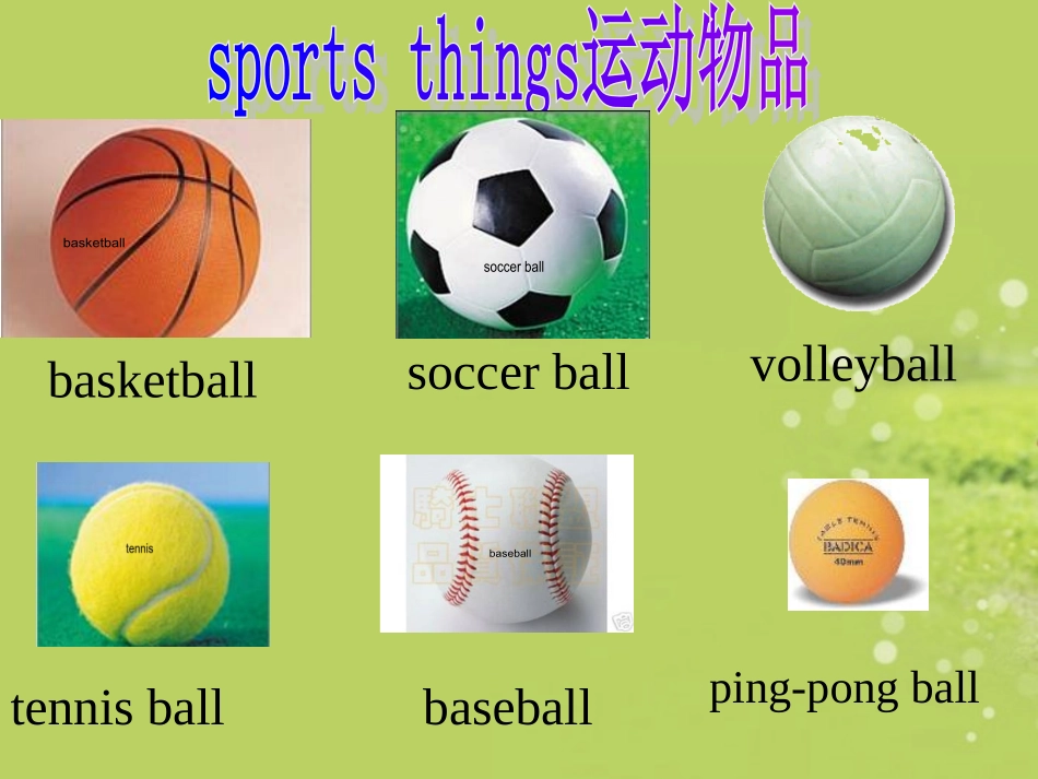 七年级英语上册_Unit5_Do_you_have_a_soccer_ball课件_人教新目标版_第3页