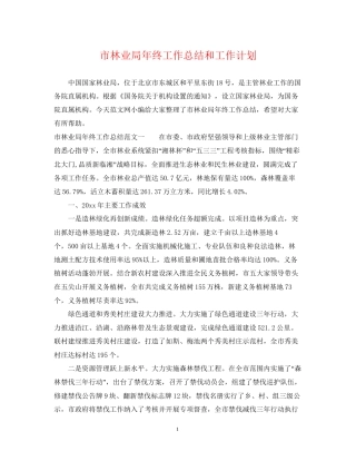 市林业局年终工作总结和工作计划