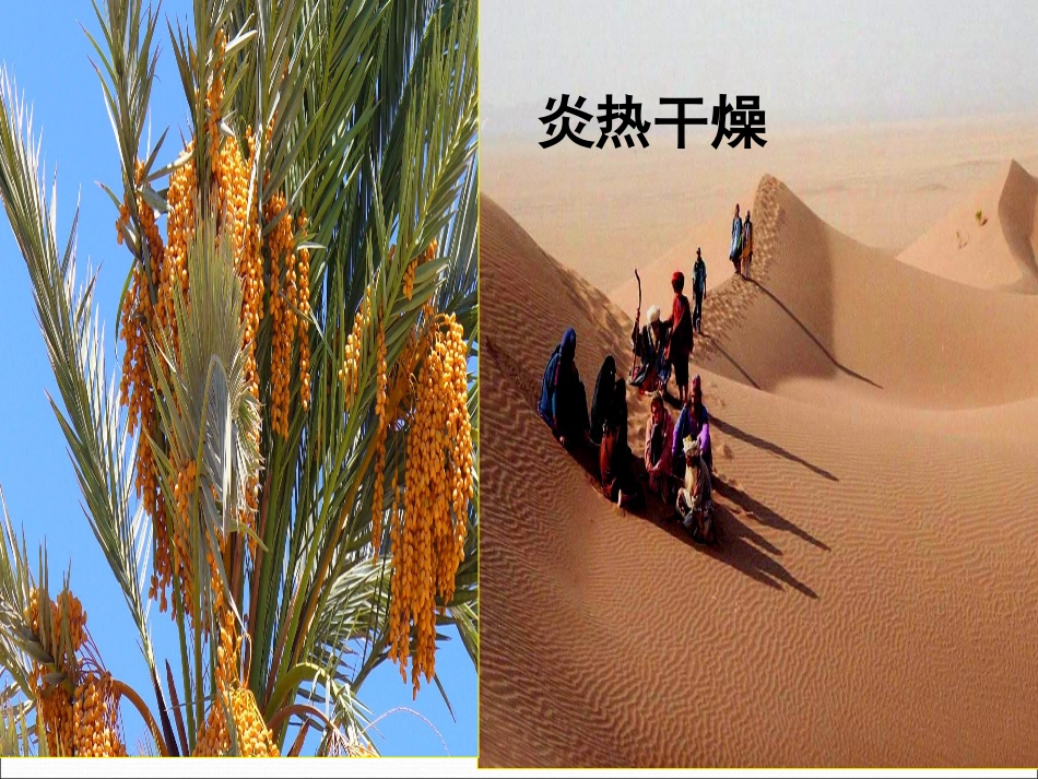 复习西亚欧洲西部_第1页