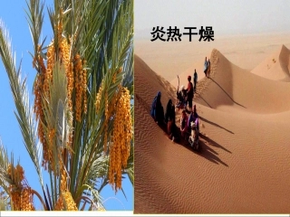 复习西亚欧洲西部