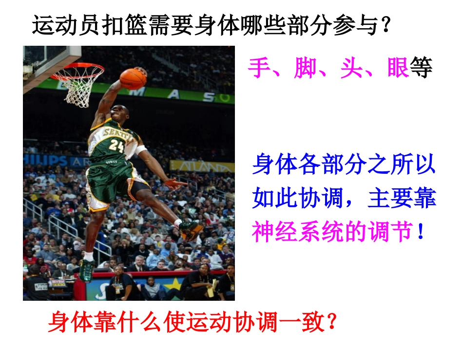 第二节神经系统的组成新_第1页