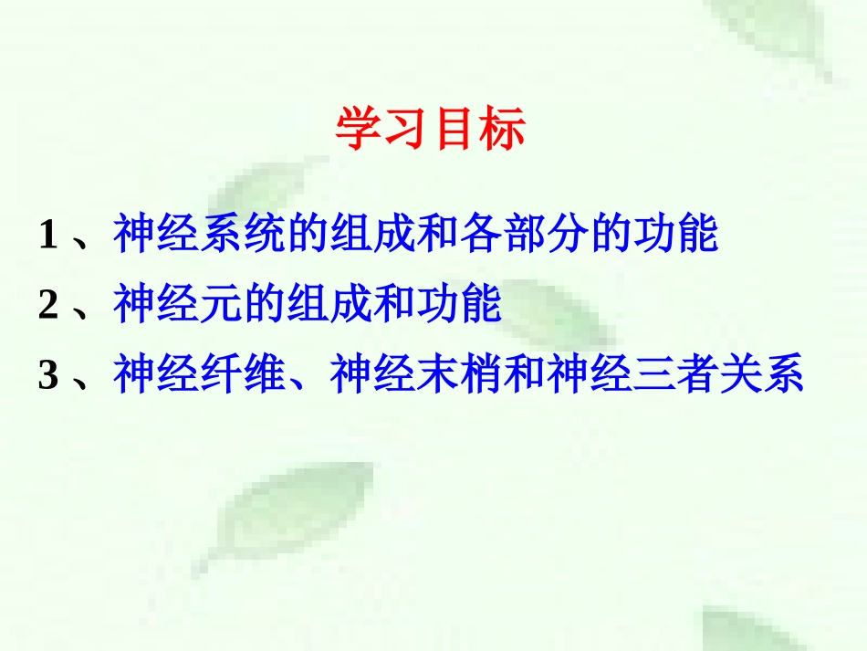 第二节神经系统的组成新_第3页