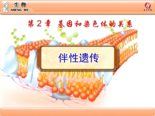 生物②必修23《伴性遗传》PPT课件