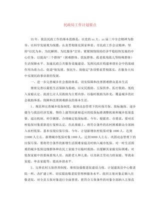 民政局工作计划要点