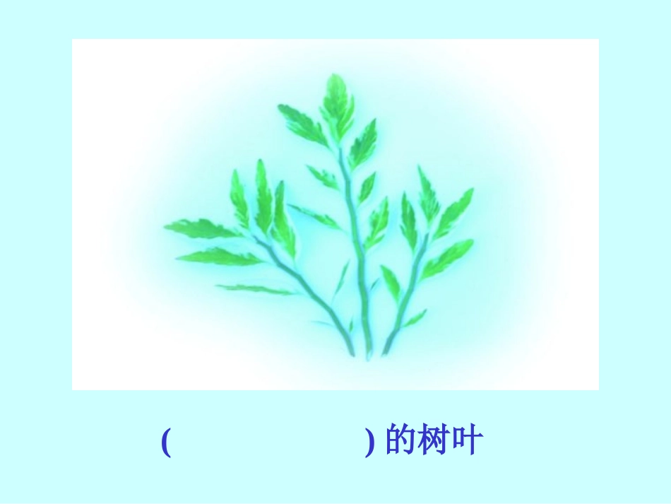 人教二年级上册《19、蓝色的树叶》_第3页