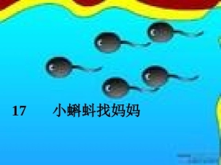 小蝌蚪找妈妈 (3)