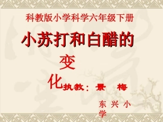 小苏打和白醋的变化(1)