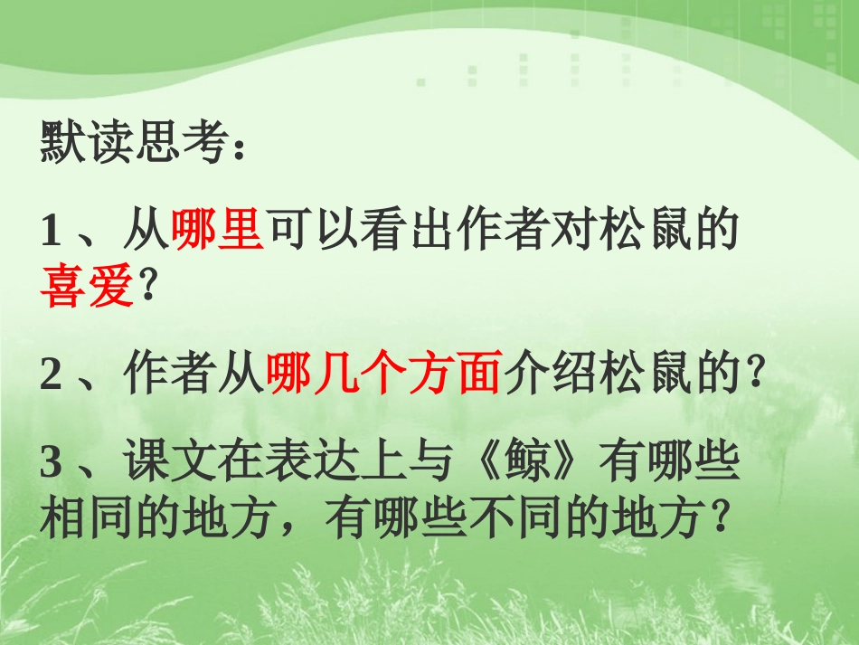 人教版五年级语文上册第三组《10松鼠》PPT课件_第3页