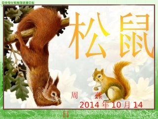 人教版五年级语文上册第三组《10松鼠》PPT课件