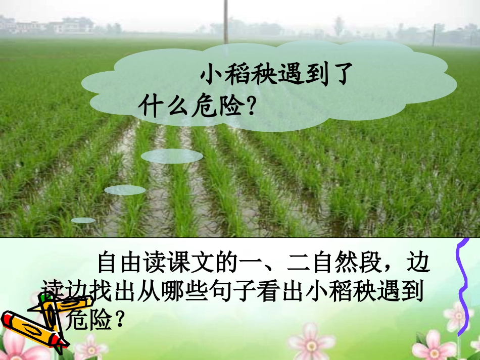 《小稻秧脱险记》-02_第3页