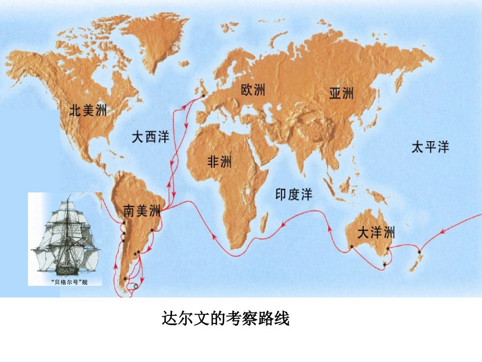生物进化的学说_第3页