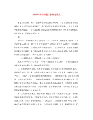2020年农村妇联工作计划范文