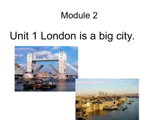 外研社三起第四册M2_London_is_a_big_city