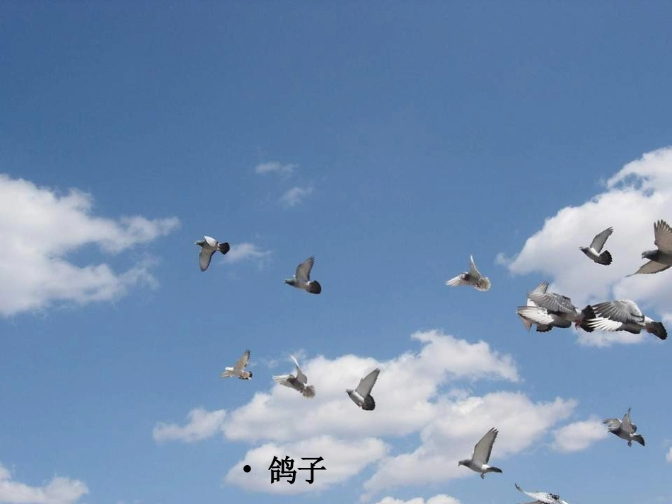 教科版八年级下册第一课_第2页