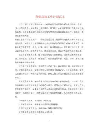 营销总监工作计划范文2