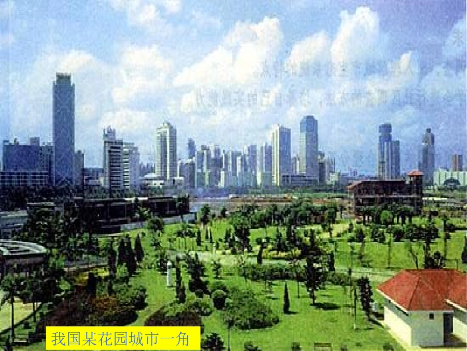 上课用使用燃料对环境的影响_第2页