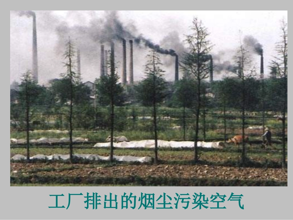 上课用使用燃料对环境的影响_第3页