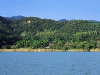 上课用使用燃料对环境的影响