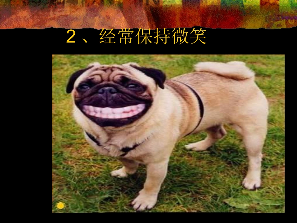 快乐的十八种技巧_第3页