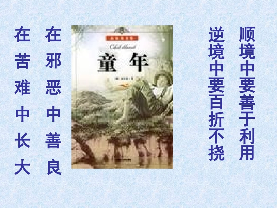 名著导读《童年》课件_第2页