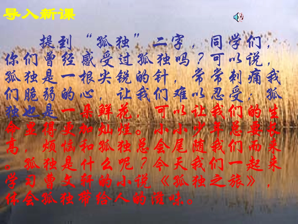 孤独之旅教学课件_第1页