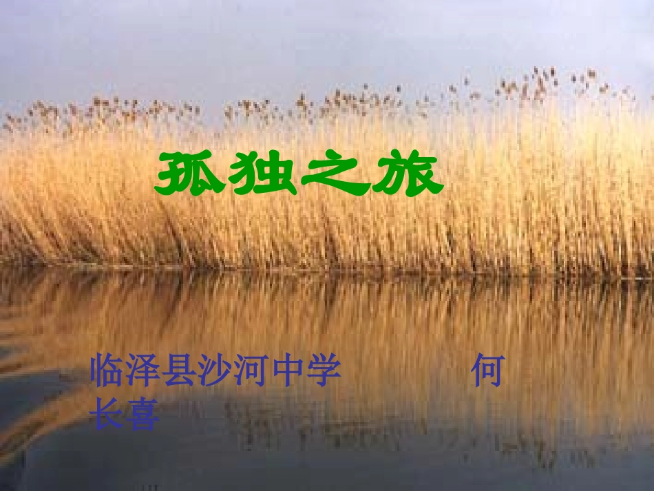 孤独之旅教学课件_第2页