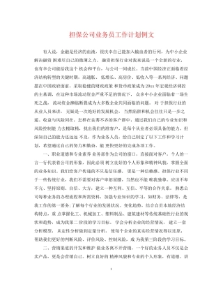 担保公司业务员工作计划例文