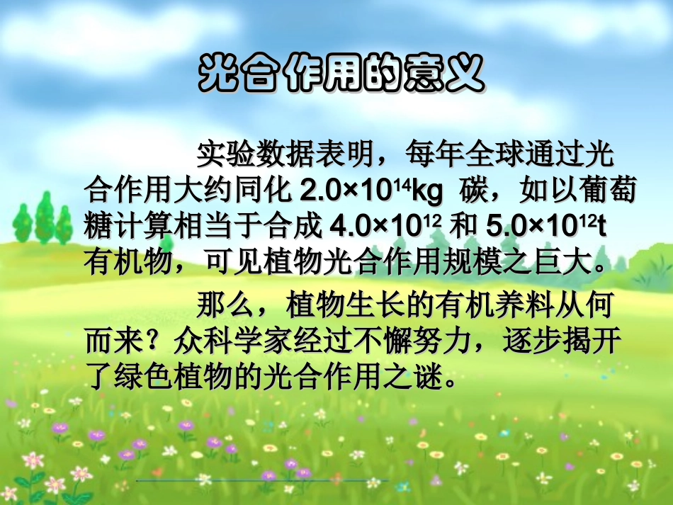 高中生物必修一_能量之源—光与光合作用复习_第2页