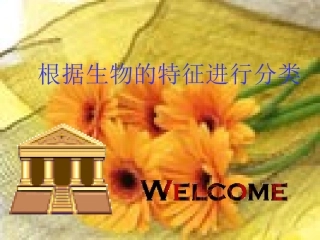 八年级生物尝试对生物进行分类